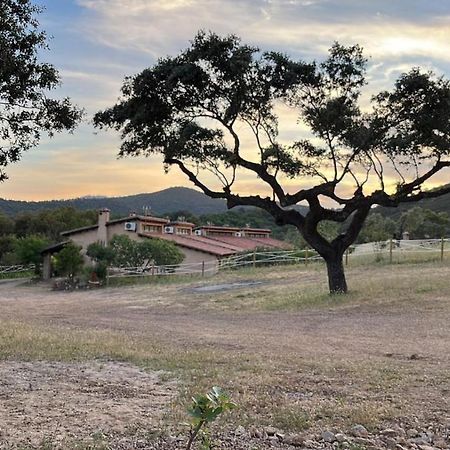 Apartamentos Rurales En Plena Sierra La Calera Eksteriør billede