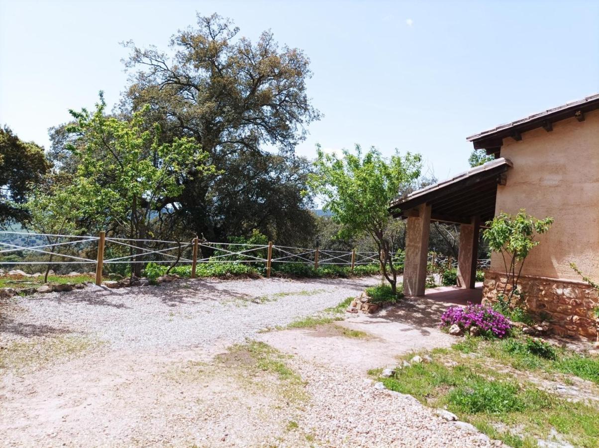 Apartamentos Rurales En Plena Sierra La Calera Eksteriør billede