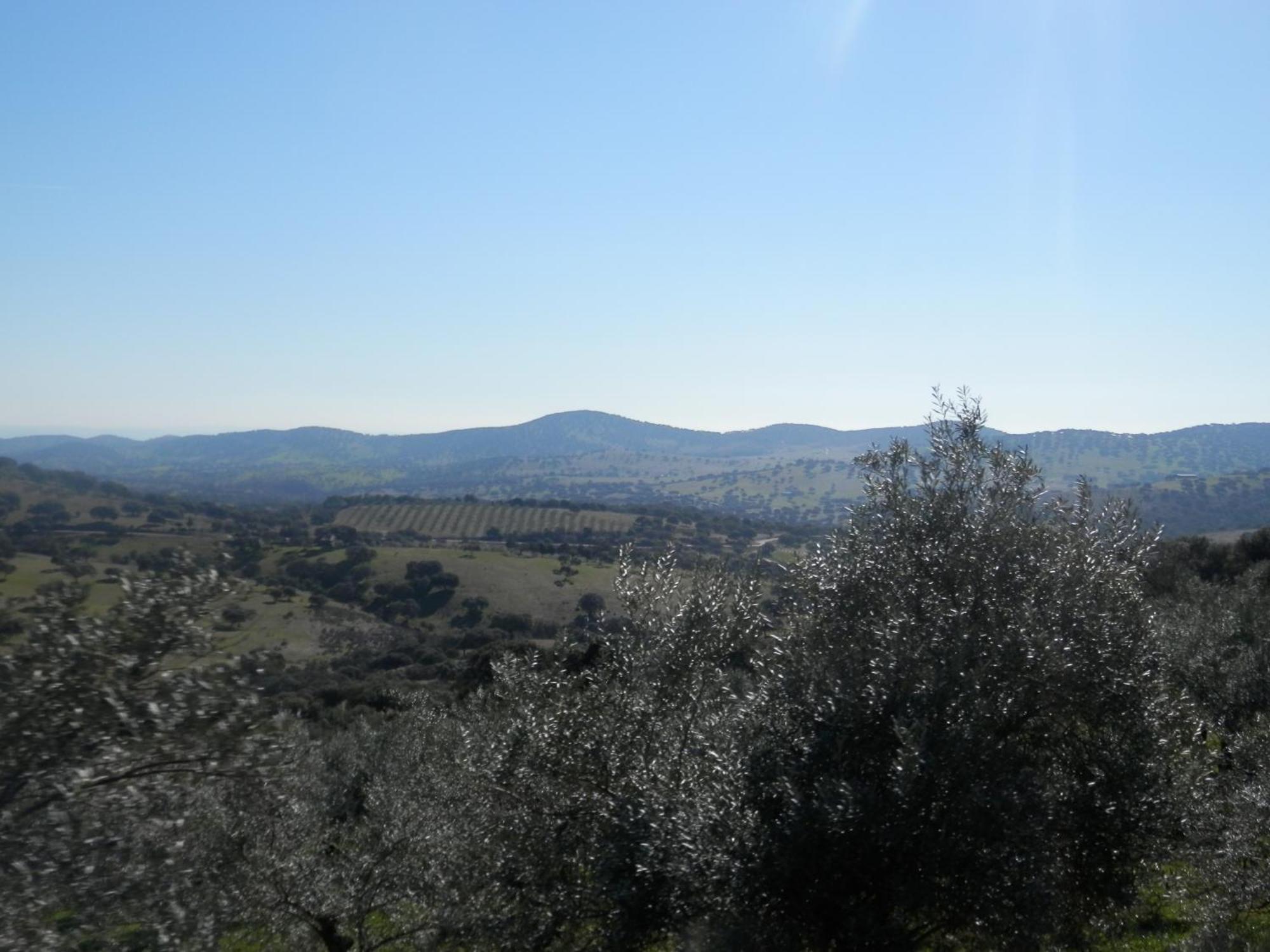Apartamentos Rurales En Plena Sierra La Calera Eksteriør billede