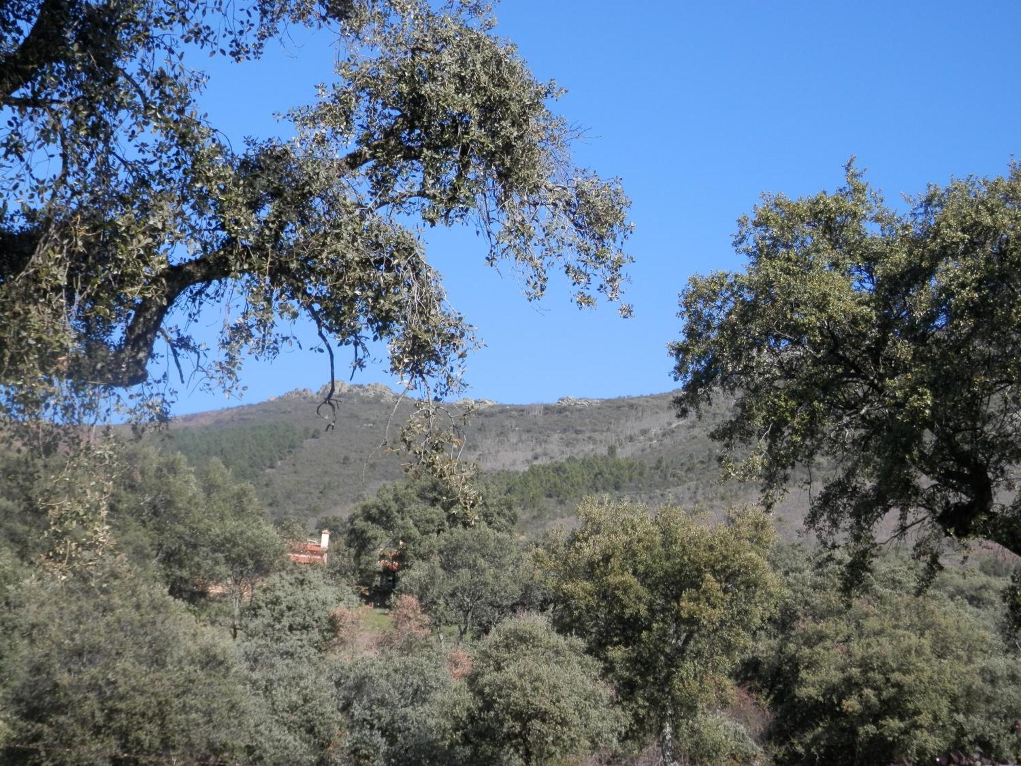 Apartamentos Rurales En Plena Sierra La Calera Eksteriør billede