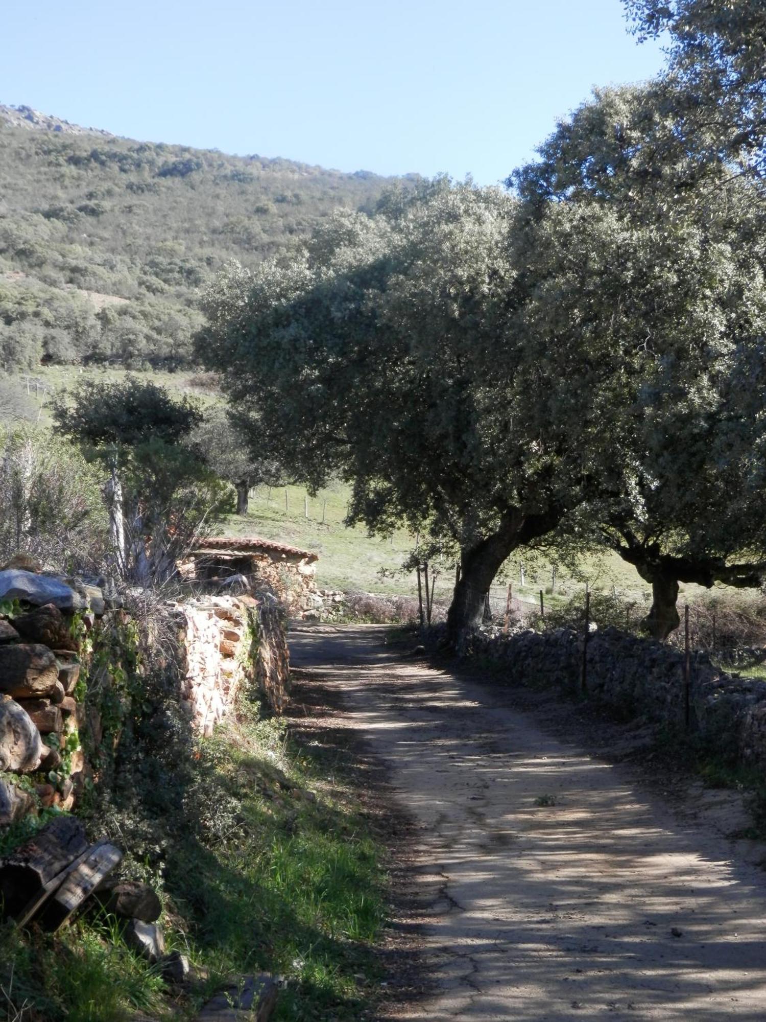 Apartamentos Rurales En Plena Sierra La Calera Eksteriør billede
